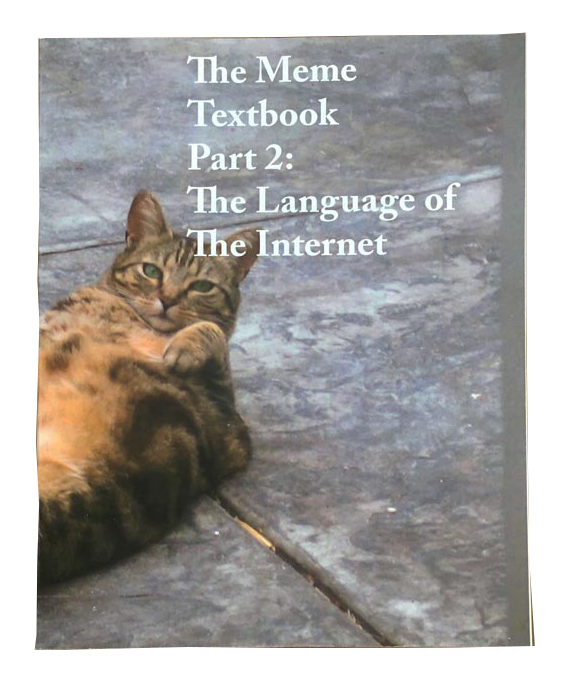 front cover of book two with cat